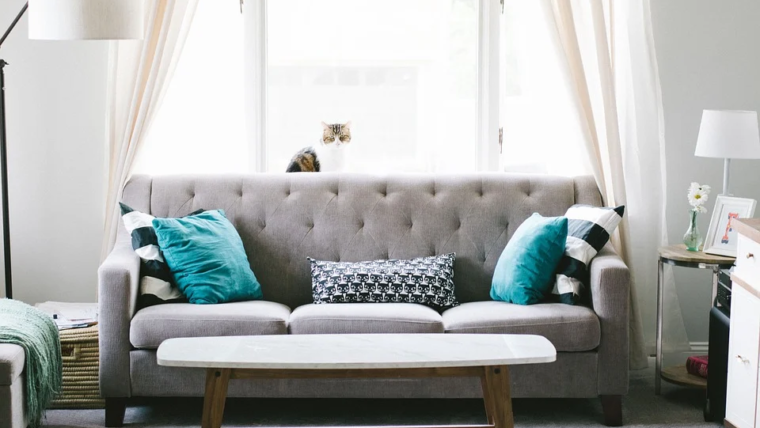 Reformar o sofá vale a pena?