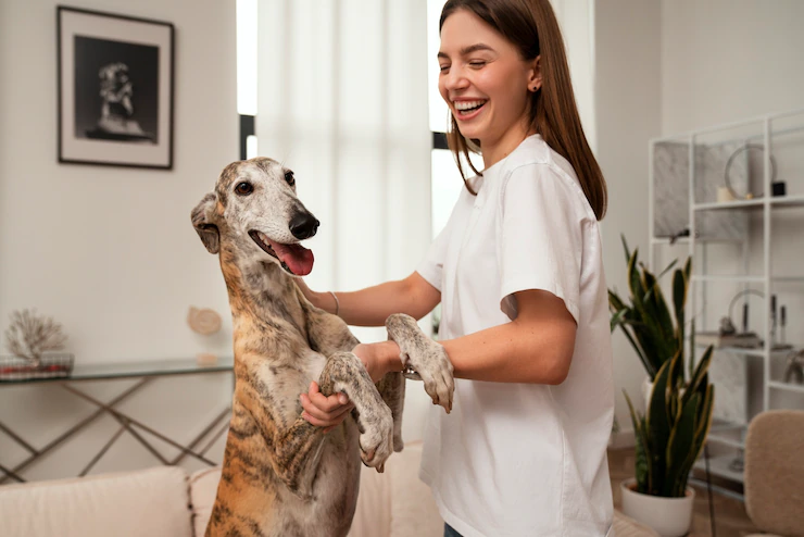 Saiba como deixar o espaço do seu pet seguro e confortável